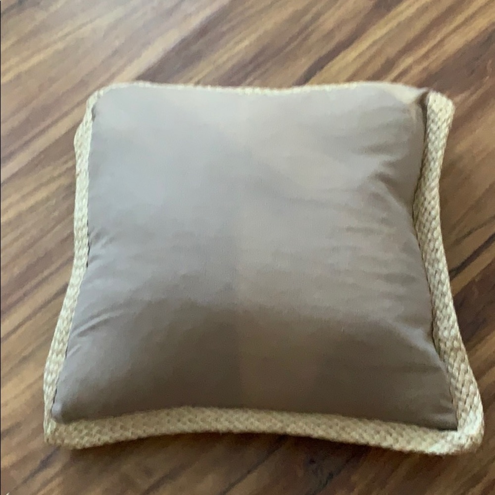 Potter Barn Pillow And Cover